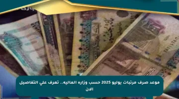 موعد صرف مرتبات يوليو 2025 حسب وزارة المالية.. تعرف على التفاصيل الآن